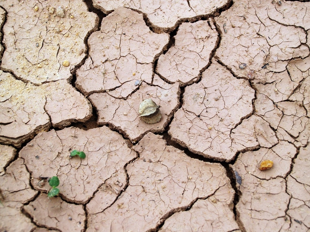 dry eart symbolizing dry human skin